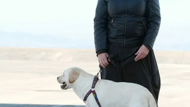“Jeder, der diesen Weg auf sich nimmt, hat einen verdammt guten Grund.”